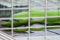 Airbus A319-114