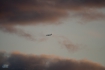 Boeing 737-8AS