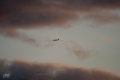 Boeing 737-8AS