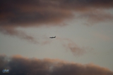 Boeing 737-8AS