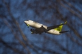 Boeing 737-36Q
