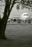 Boeing 737-31S