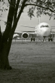 Boeing 737-31S
