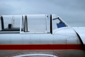 Yakovlev Yak-52