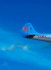 Yakovlev Yak-52