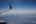 Boeing 737-8F2
