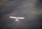 Best Off Skyranger