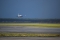 Boeing 737-8AS