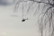 Robinson R-44 Raven I