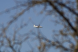 Fokker 50