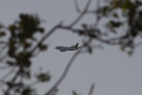 Boeing 737-505