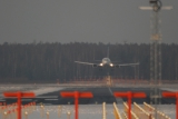 Boeing 737-530