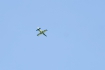Aero L-39C Albatros