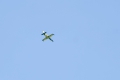 Aero L-39C Albatros