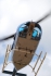 Bell 206B