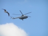 Mil Mi-8