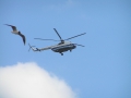 Mil Mi-8