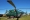 Mil Mi-8T