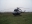 Mil (PZL-Swidnik) Mi-2