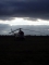 Mil (PZL-Swidnik) Mi-2