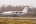 Ilyushin Il-76TD