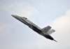 McDonnell Douglas EF-18M Hornet