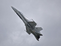 McDonnell Douglas EF-18M Hornet