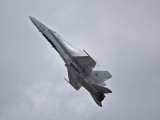 McDonnell Douglas EF-18M Hornet