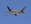 Boeing 777-268/ER