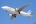 Airbus A320-211