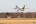 Boeing 737-522