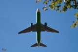 Boeing 767-33P/ER