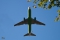 Boeing 767-33P/ER