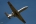 Yakovlev Yak-40