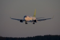 Boeing 737-36Q
