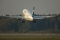 Embraer 170STD (ERJ-170-100STD)