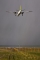 Fokker 50
