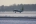 Fokker 50
