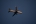 Embraer 170STD (ERJ-170-100STD)