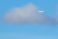 Airbus A319-112
