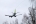 Boeing 737-31S