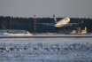 Embraer 170STD (ERJ-170-100STD)