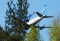 Embraer 170STD (ERJ-170-100STD)