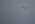 ATR ATR-42-300