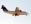 BAE Systems Avro 146-RJ85