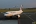 Airbus A319-111