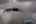 Airbus A320-211