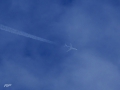 Tupolev Tu-154