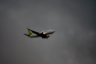 Boeing 737-33V