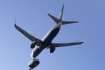 Boeing 737-8AS